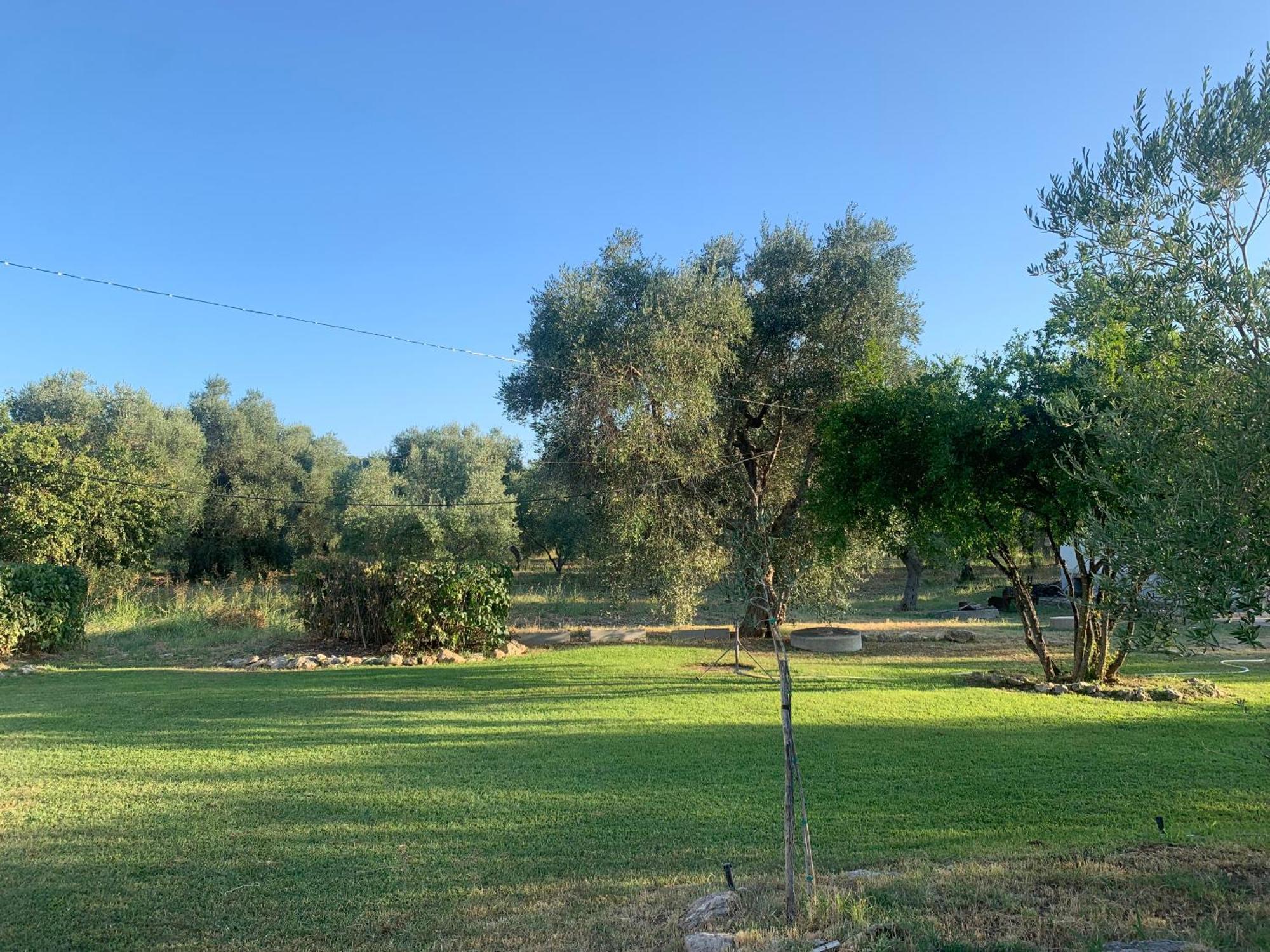 Casa Colonica Di Campagna Come Era Una Volta Villa Peschici Exterior foto